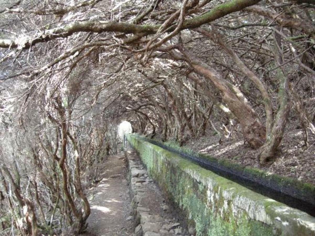 Casa Mao-Cheia Leilighet Arco da Calheta  Eksteriør bilde